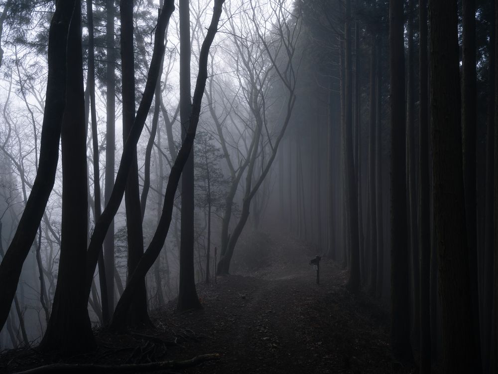 Photograph by HIDEMASA SUZUKI