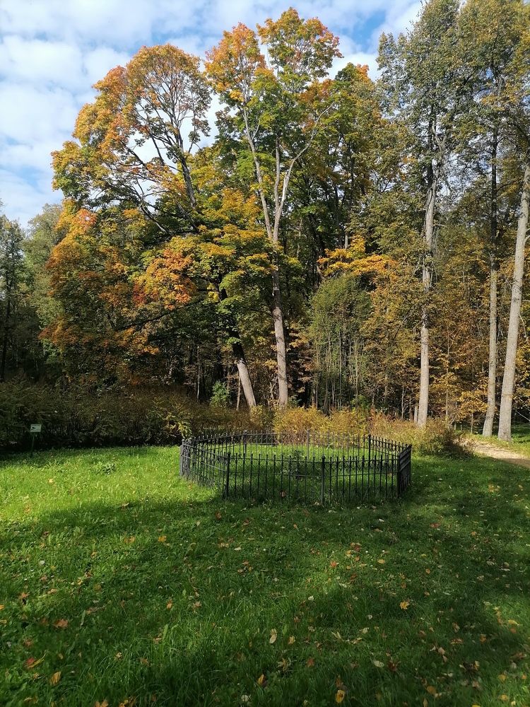 Photograph by Татьяна