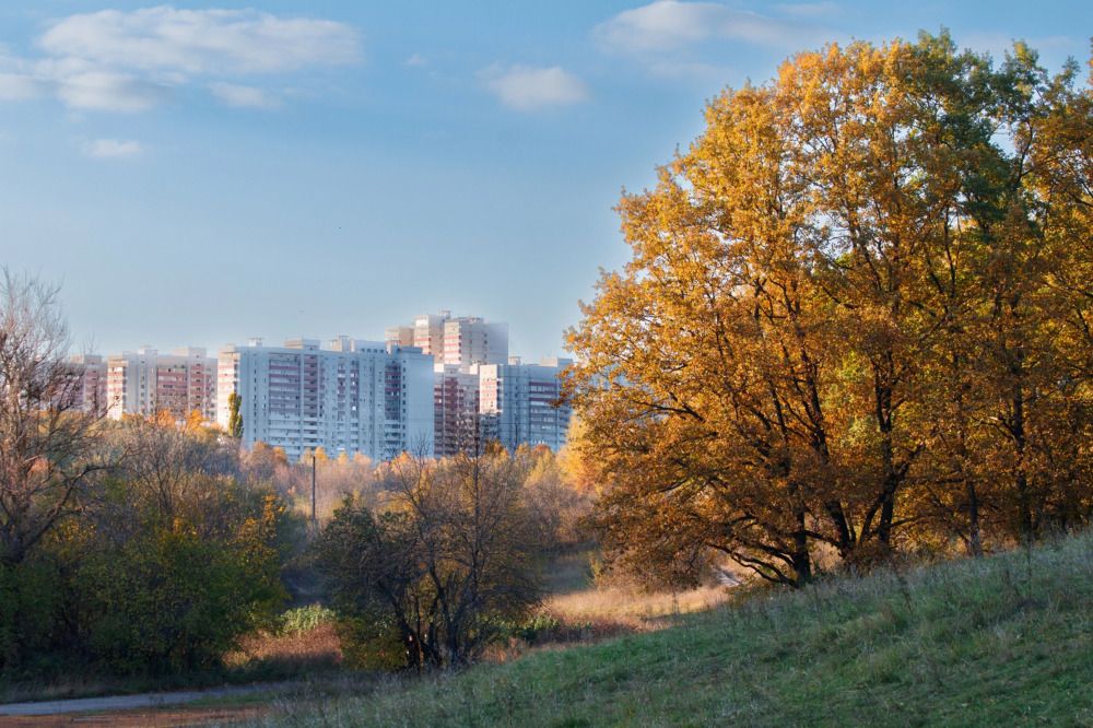 Photograph by Дмитрий Тимин