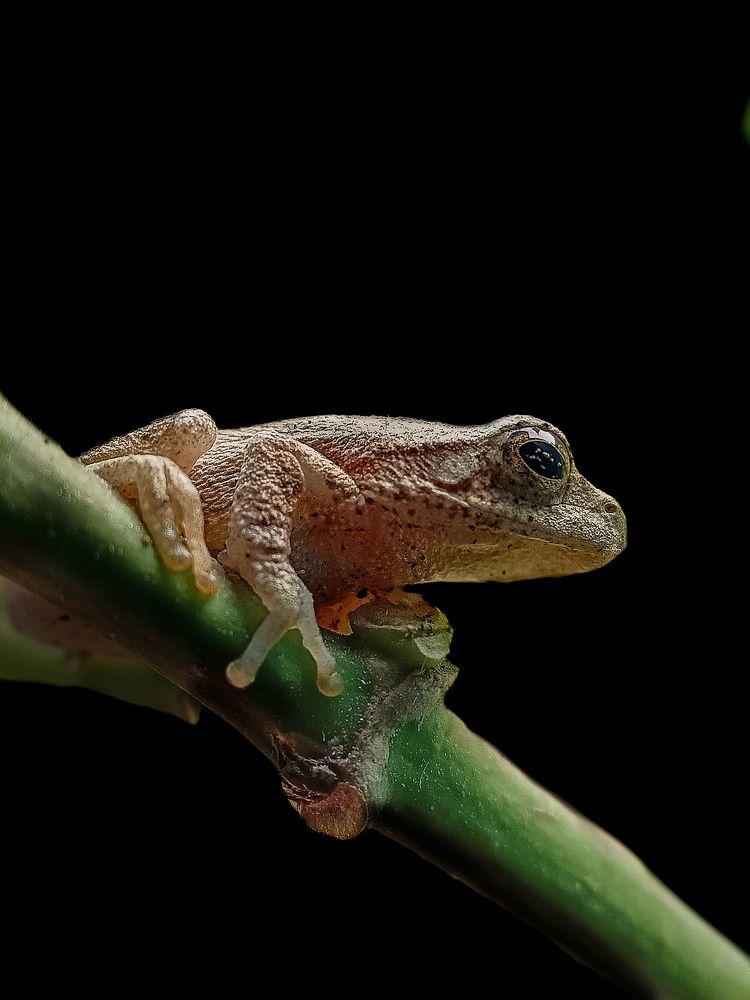 Photograph by Saptarshi Mondal