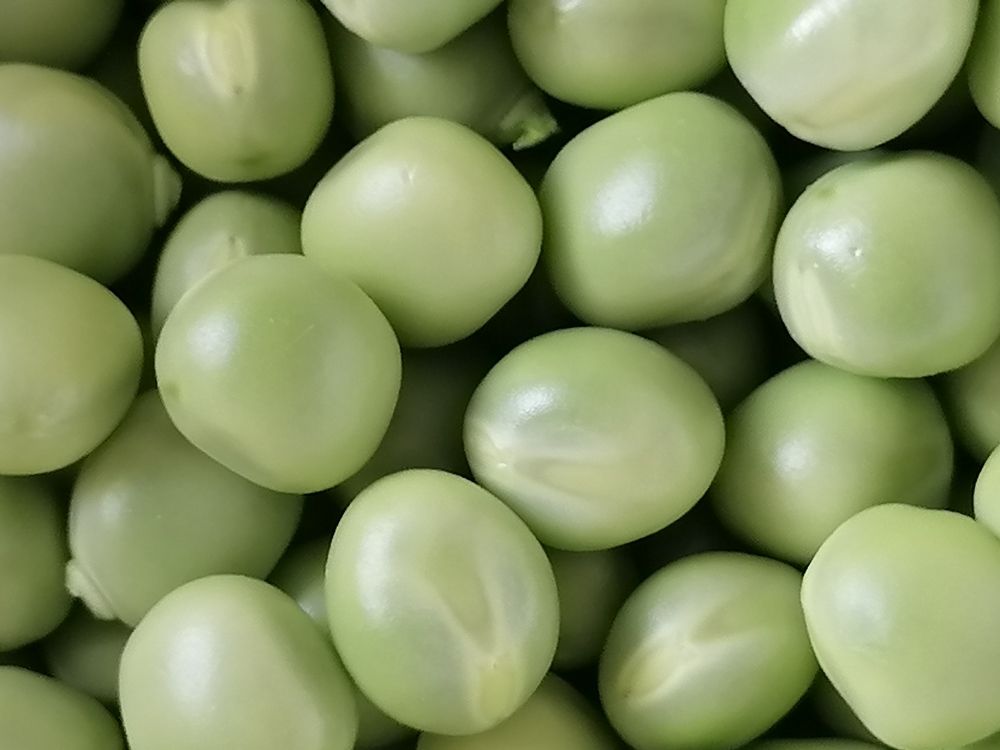 Photograph by Татьяна