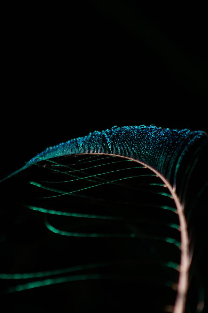 Photograph by Sineth Chanthula Weerasingha