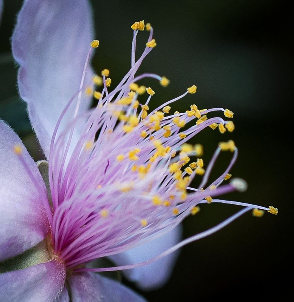 Photograph by Басалаев Евгений