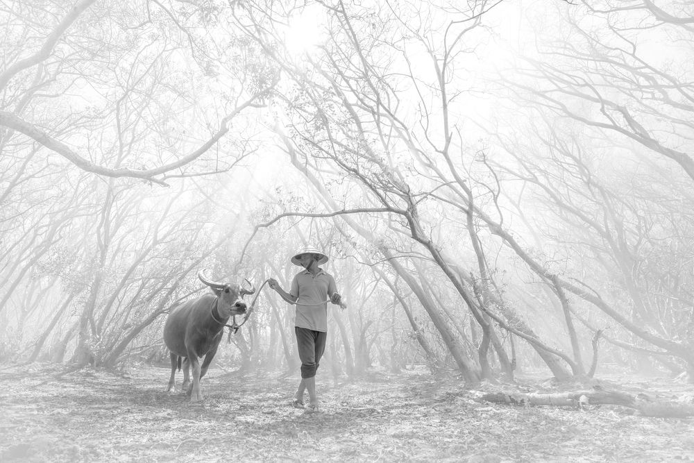 Фотография автора Le Nhat Quang