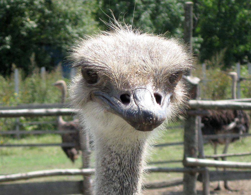 Photograph by Сергей