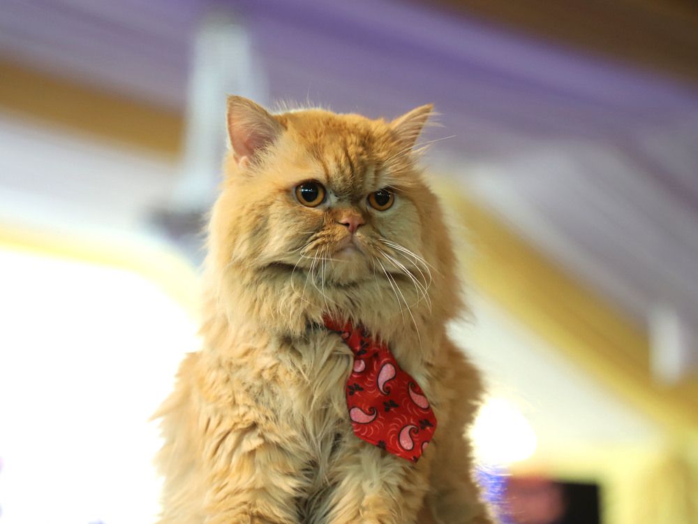 Photograph by Bhanupriya Marke