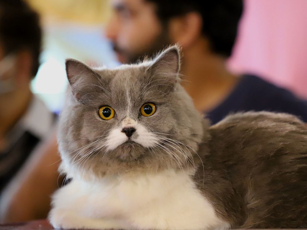 Photograph by Bhanupriya Marke