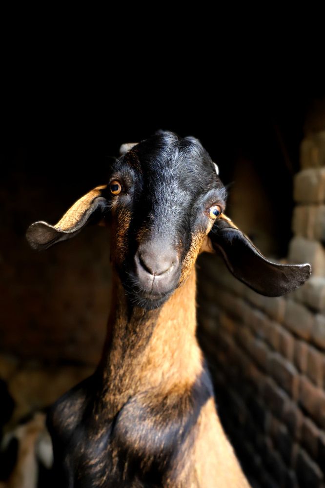 Photograph by Bhanupriya Marke