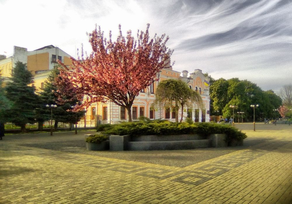 Фотография автора Роман Савоцкий