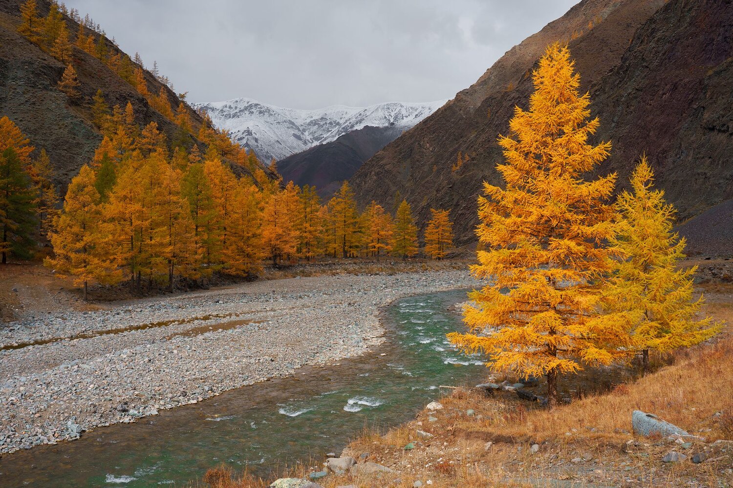Photo #9709639