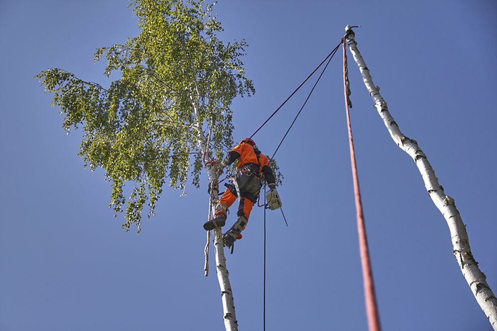 Канатный Доступ