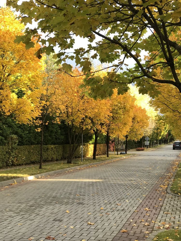 Photograph by Татьяна Шибанова