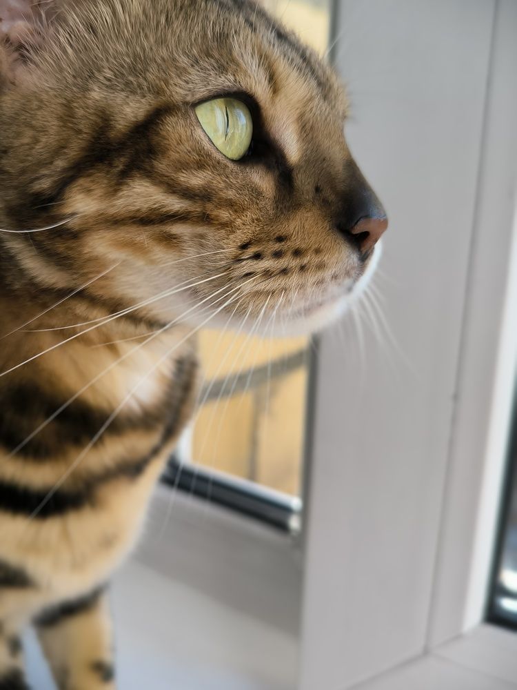 Photograph by Сергей Подлевский