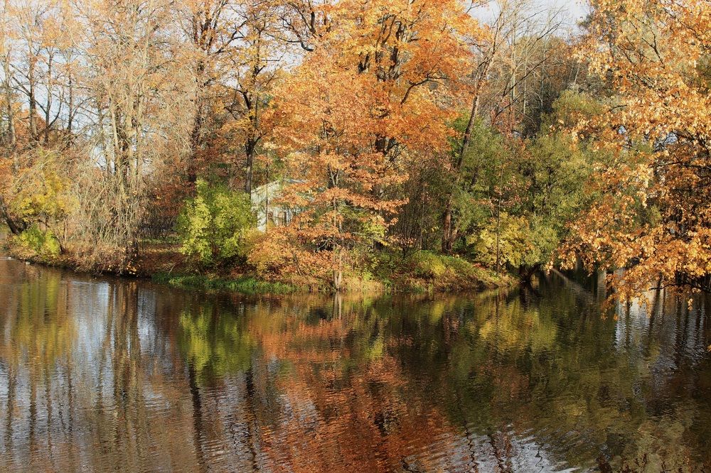 Осенний калейдоскоп
