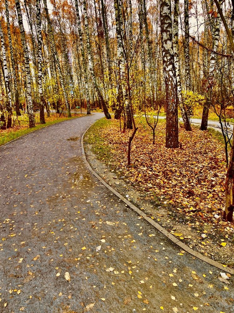 Photograph by Елена Шкред