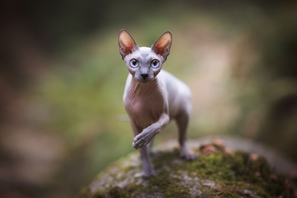 Photograph by griselda