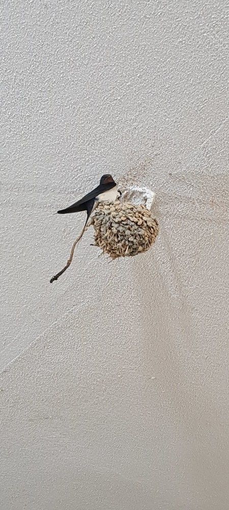 Photograph by mahboube moradalizade