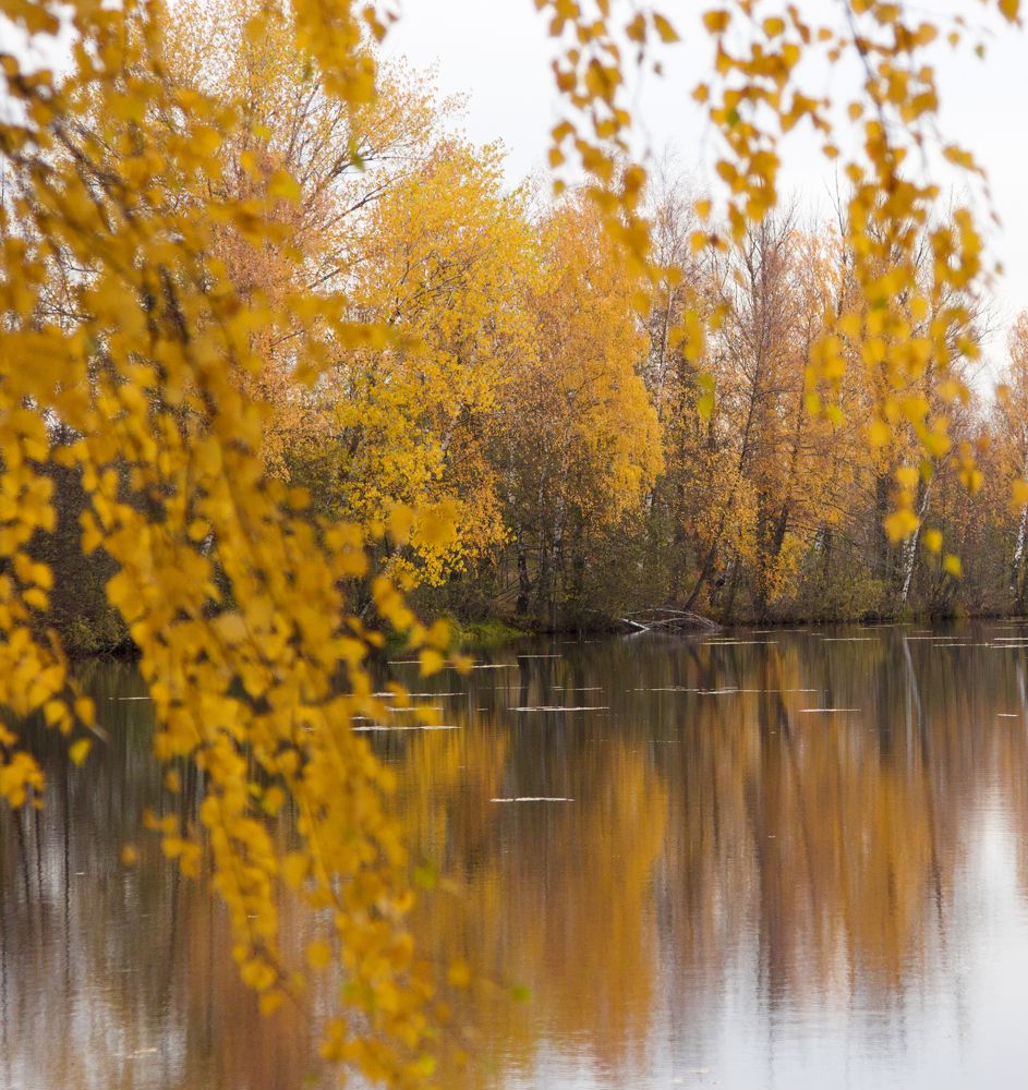 Photograph by Наталья Кирина