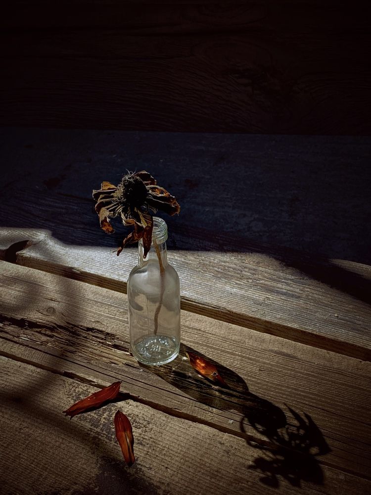 Photograph by Татьяна Семёнова