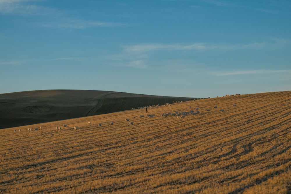 Photograph by Younes Khoubrane