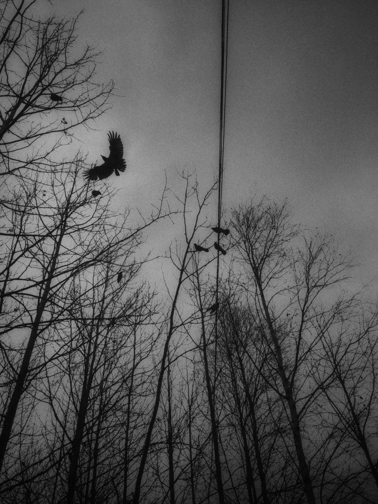 Photograph by Ольга Владимировна