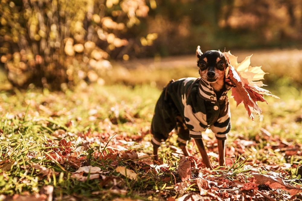 Photograph by Ирина Ломова