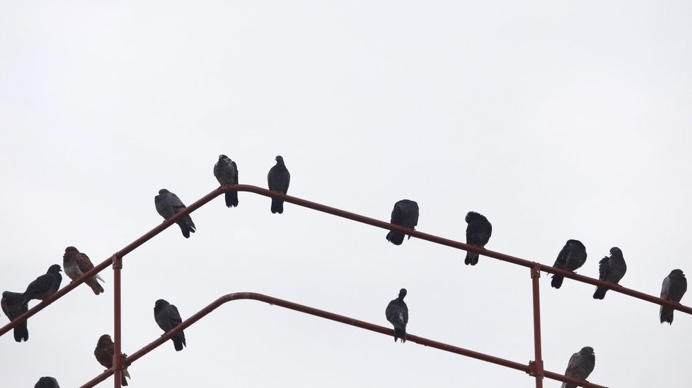 Фотография автора CIX Empire