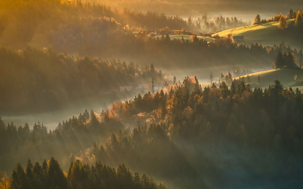 Photograph by Adrian Adi Gli