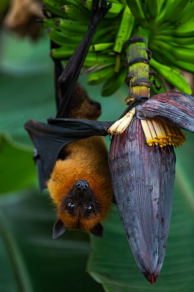 Photograph by Sangeetha Damodaran