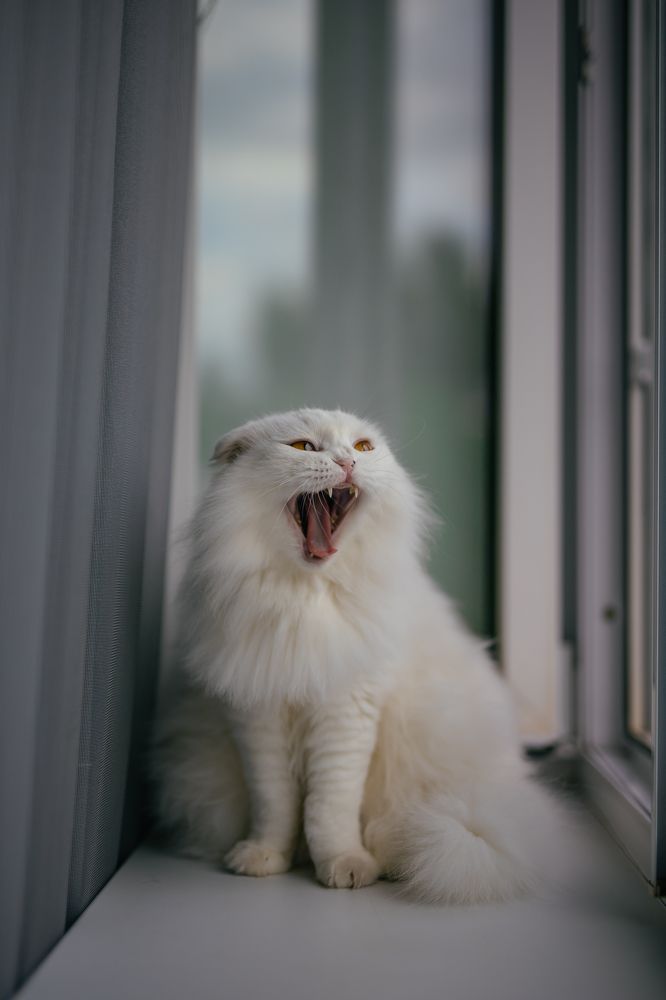 Photograph by Денис