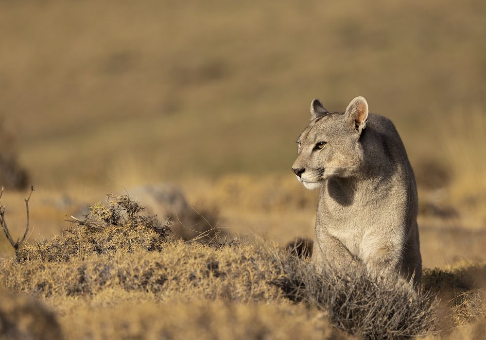 Photograph by Idit Profeta Ron