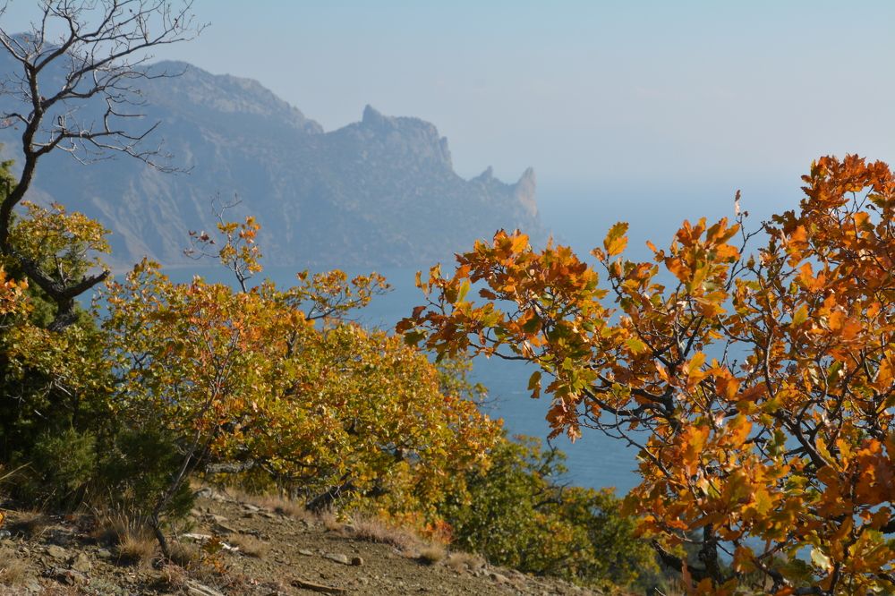 Photograph by Екатерина Крючкова