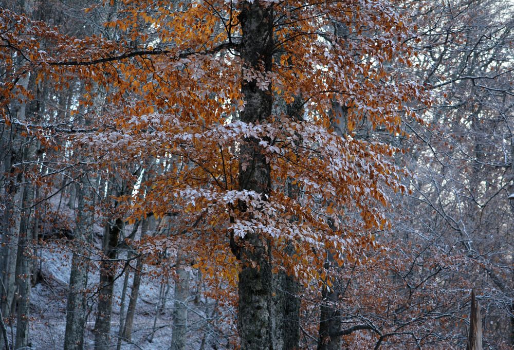 Photograph by Екатерина Крючкова