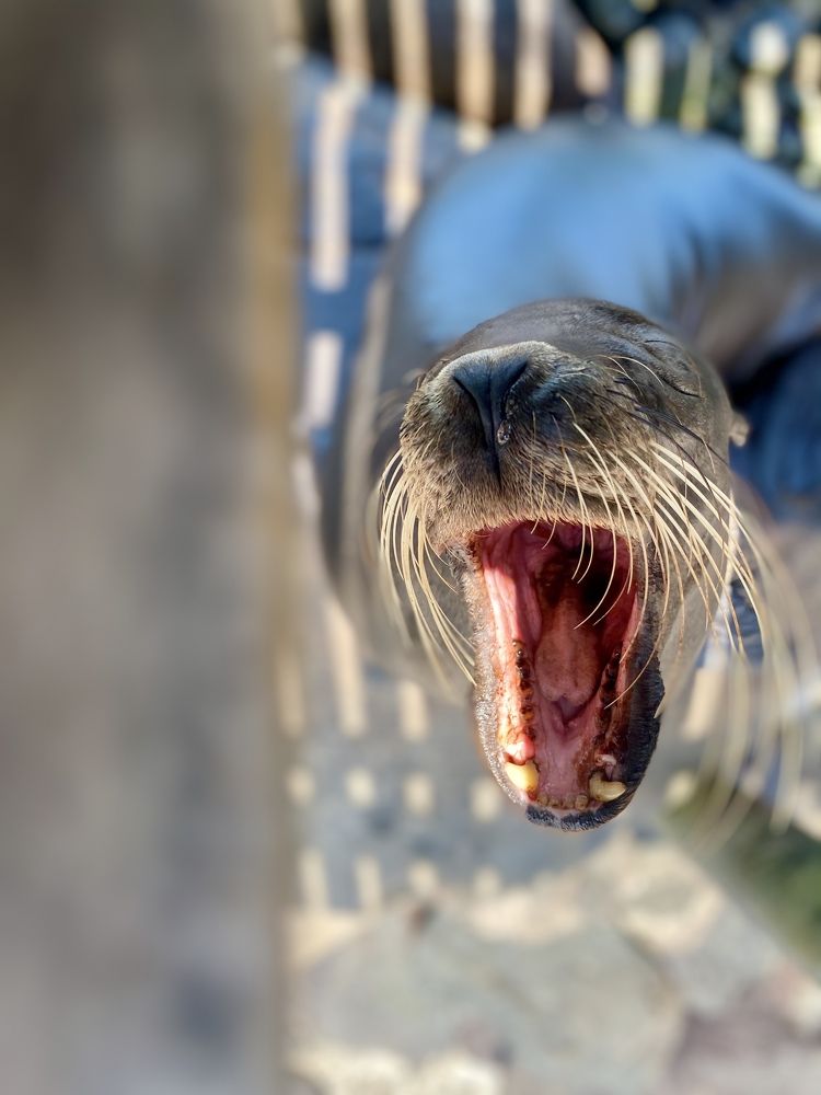 Photograph by Ирина Ломова