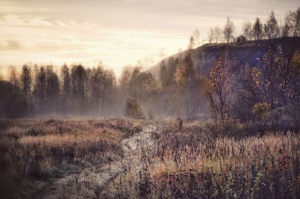 Photograph by Инна Карасева