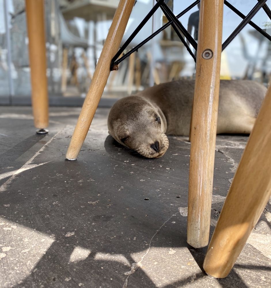 Photograph by Ирина Ломова