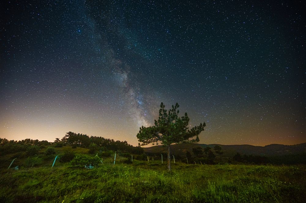 Photograph by RESUL KÜÇÜKBAYRAM