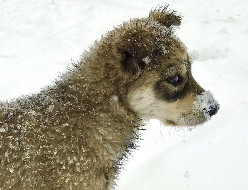 Photograph by Елена Ким