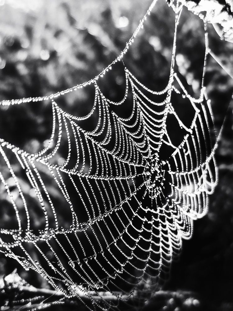 Photograph by Новикова Елена Сергеевна