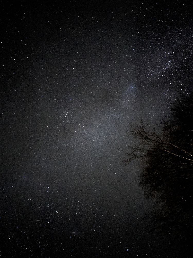 Photograph by Tatiana Grinko