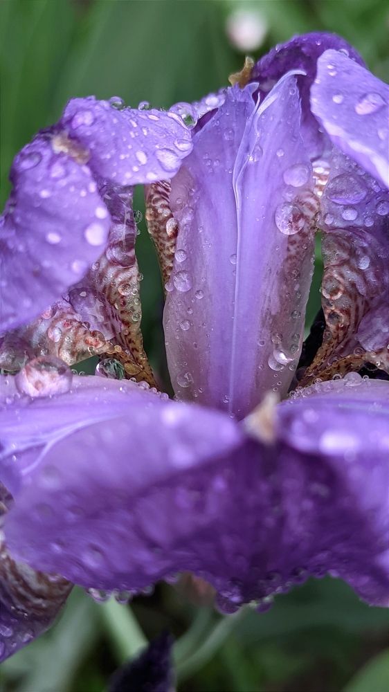 Фотография автора Васильева Ирина