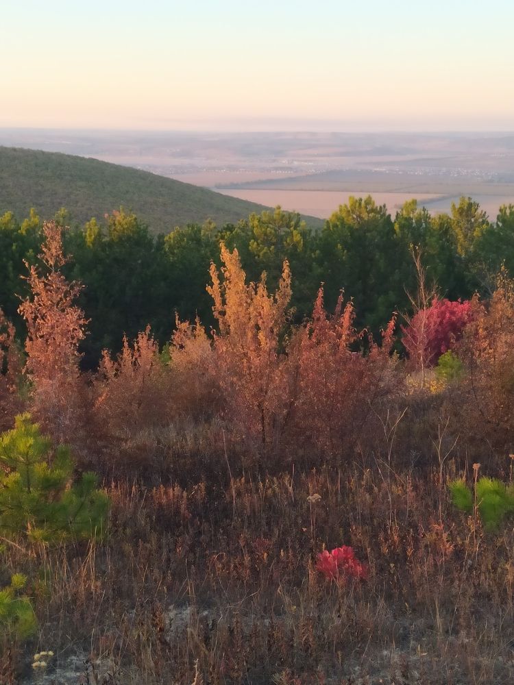 Photograph by Natalya