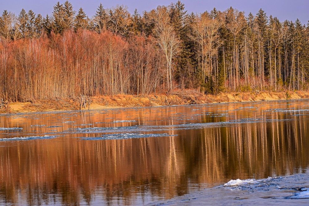 Осень манит своими красками