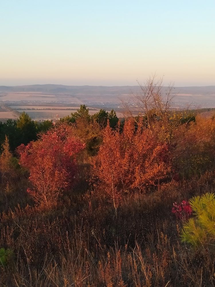 Село Варваровка Краснодарский край