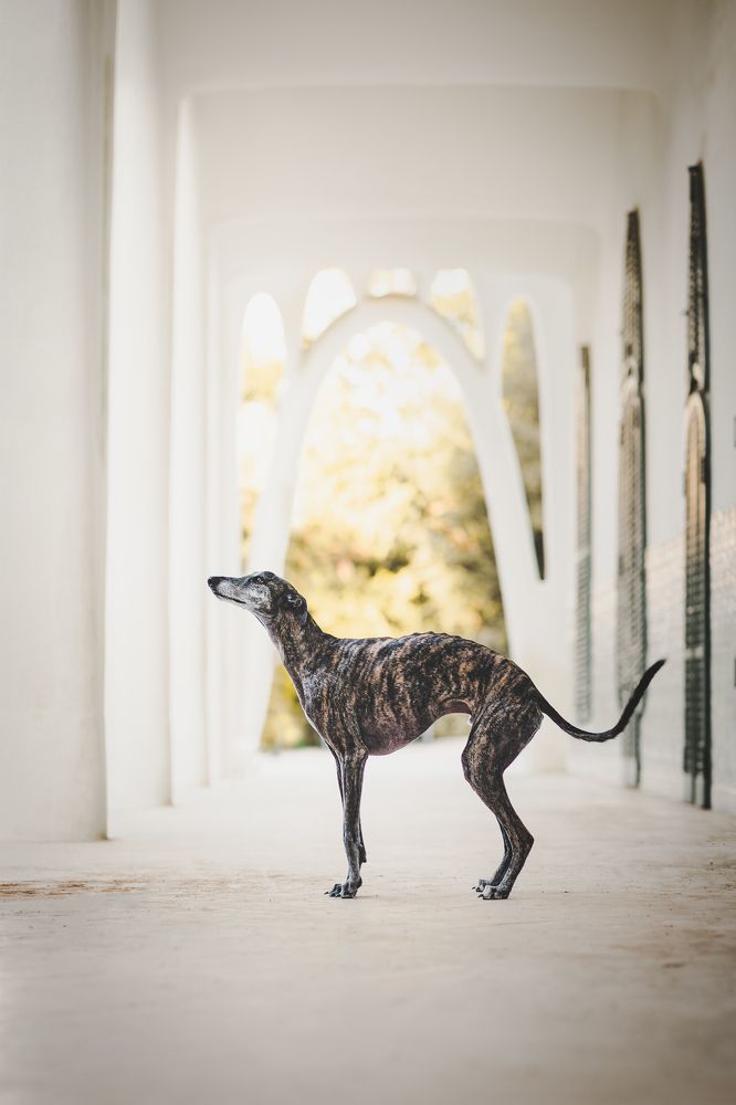 Photograph by GRISELDA FERNANDEZ