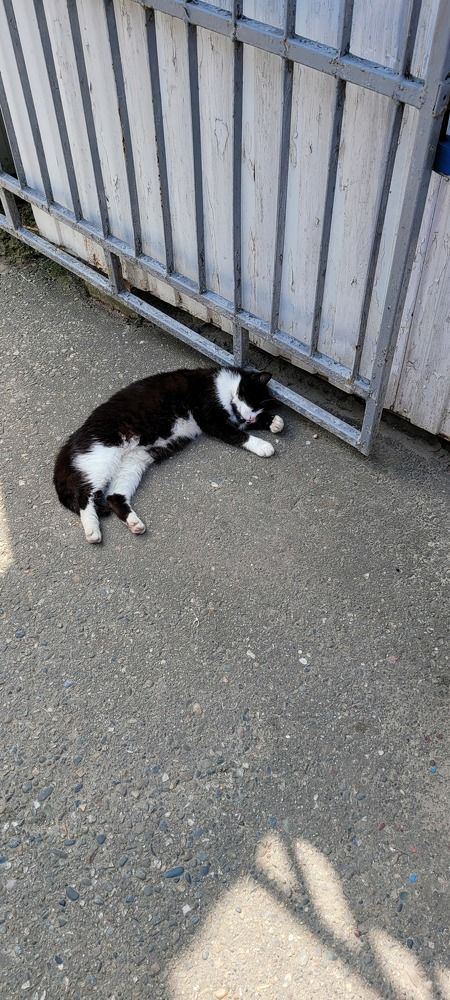 Photo #9710146