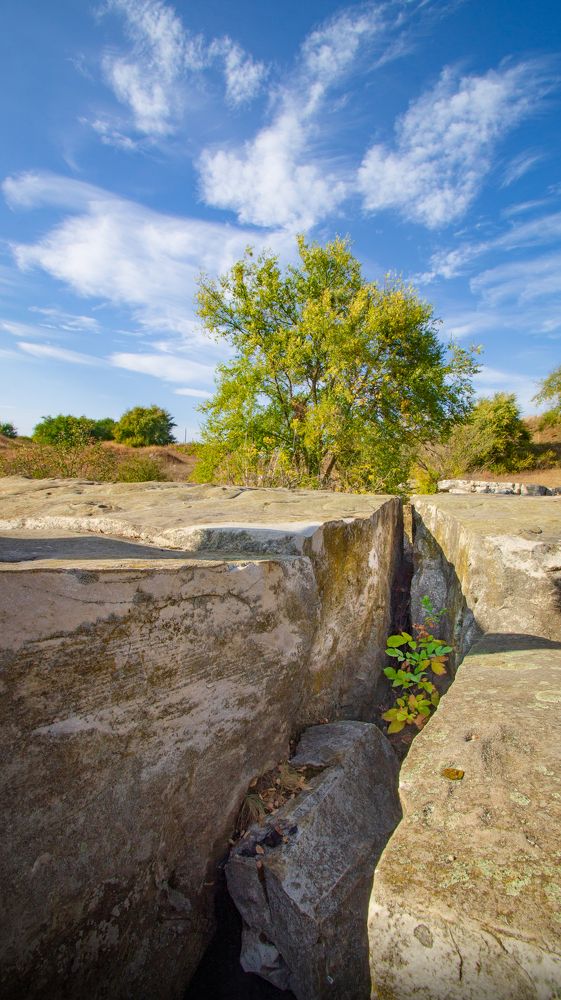 Photograph by Андрей Семенченко