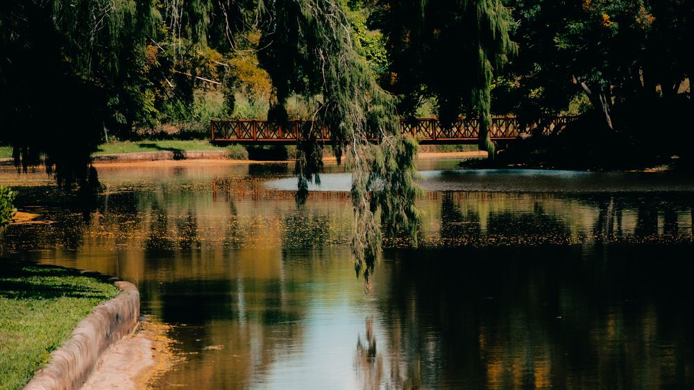 National Botanical Garden. Havana, Cuba.