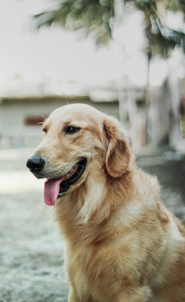 Photograph by Sineth Chanthula Weerasingha