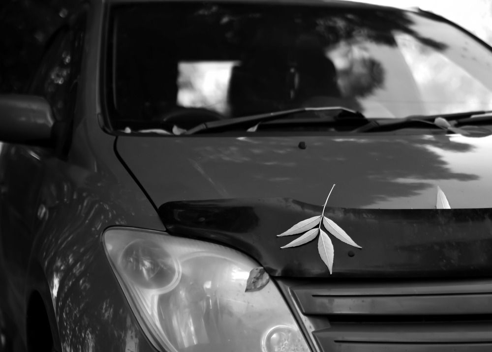 Photograph by Наталья Сорокина